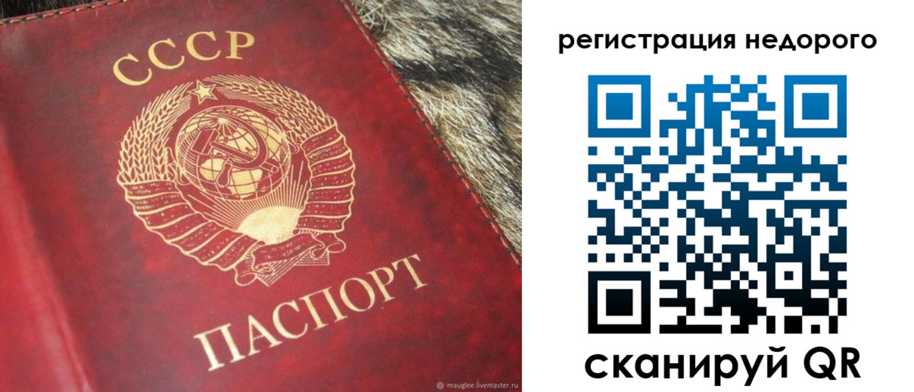 прописка ребенка в Лисках